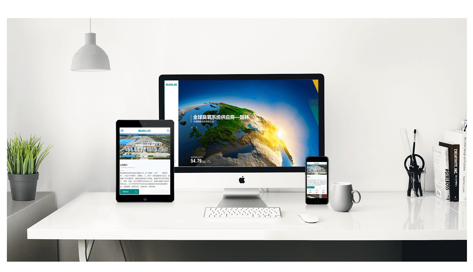 集约化网站建设有什么开发技巧呢?