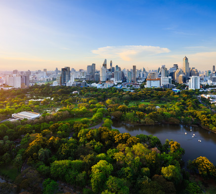 高校网站建设改版后网站的优化效果如何补救?