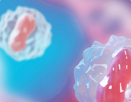 医院网站制作要注意哪些原则要点?