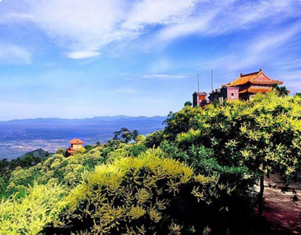 企业展示型网站类型你了解多少?